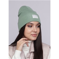 CLEVER Шапка