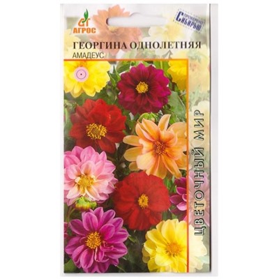 Георгина Амадеус (Код: 78789)