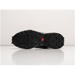 Кроссовки Salomon Streetcross