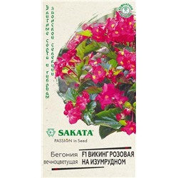 Бегония Викинг розовая на изумрудном F1 (Код: 88975)