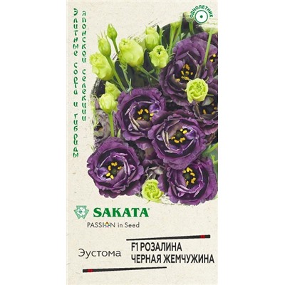 Эустома Розалина Черная жемчужина F1 (Код: 93397)