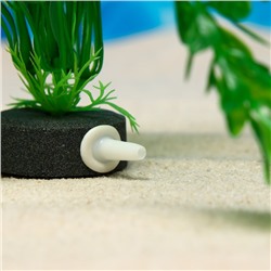 Растение искусственное