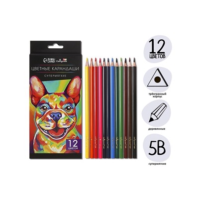 Карандаши Calligrata, 12 цветов, супермягкие, диаметр грифеля 3 мм