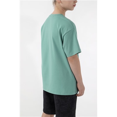 Фуфайка (футболка) для мальчика  Леон-3