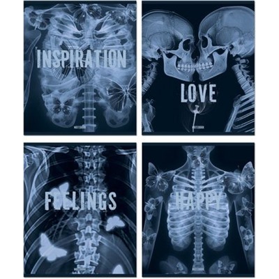 Тетрадь  48л клетка "РЕНТГЕН" 25094 Полином