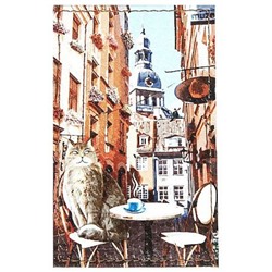 Обложка для проездного билета натур. кожа, цветной рисунок по коже "Домский собор" 3,2-012-0 ПОЛИГРАФДРУГ