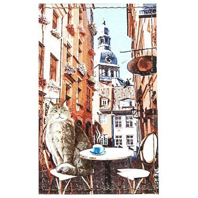 Обложка для проездного билета натур. кожа, цветной рисунок по коже "Домский собор" 3,2-012-0 ПОЛИГРАФДРУГ