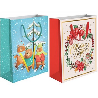 Пакет бумажный 20х24х11,5 см BC НГ  2024-MATF_NG-MIXM мат.лам,тисн. фольг. Academy style