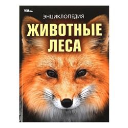 Животные леса. Энциклопедия.