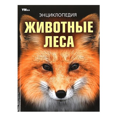 Животные леса. Энциклопедия.