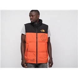 Жилет The North Face
