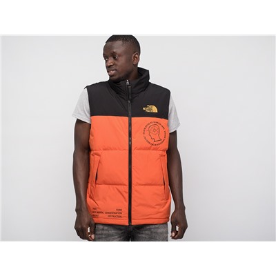 Жилет The North Face