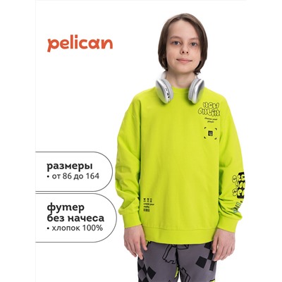 PELICAN Толстовка
