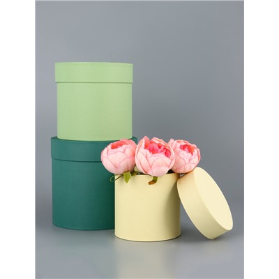 Набор круглых подарочных коробок «Лайм» 3 в 1 - 18×16×13 см