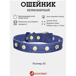 Ошейник безразмерный, 40×2 см, с подпряжником, кожа, синий