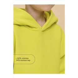 Худи PELICAN, 1067208