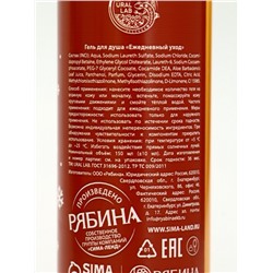 Подарочный набор новогодний «Дед Мороз», гель для душа 2 шт х 150 мл, мочалка, URAL LAB