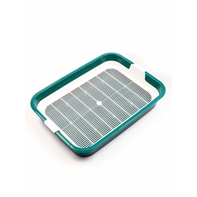 Туалет для кошек «Белла мини», 35×26×6 см, с сеткой, пластик, зелёный