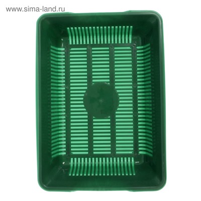 Туалет глубокий с сеткой 36×25×9 см, зеленый