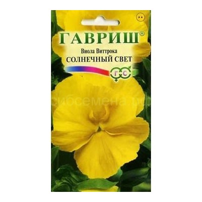 Виола Солнечный свет (Гавр)