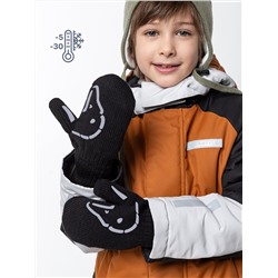 439214 NIKASTYLE Варежки
