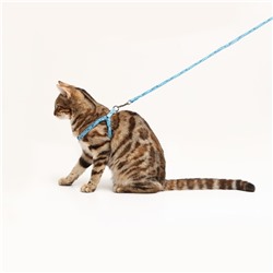 Комплект «Собачки», ширина 1 см, поводок 1.2 м, шлейка 23-35 см, голубой