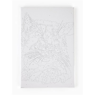 Картина по номерам на холсте с подрамником «Котёнок» 20×30 см