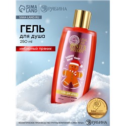 Гель для душа, 250 мл, аромат имбирного пряника, URAL LAB