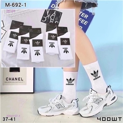 Носки Женские 10 пар 2054157-1