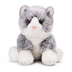 Котик серый Мейнкун, 25 см
