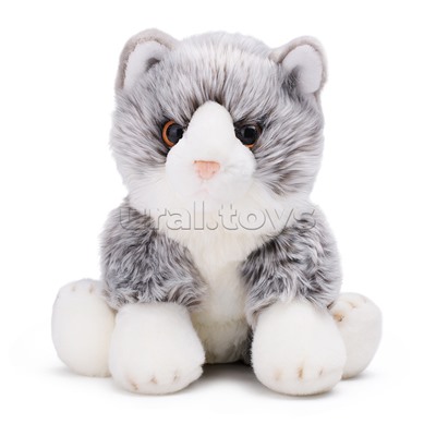 Котик серый Мейнкун, 25 см