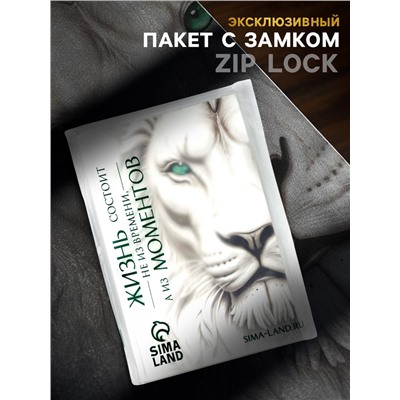 Пакет подарочный «Новогодний подарок», с носком для подарков и шильдиком, 31×40×11 см