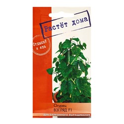 Семена "Растёт дома!" Огурец Взгляд, F1  5 шт.
