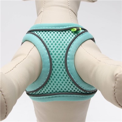 Комплект с мягкой шлейкой быстросъемный, XXS поводок 150×1.5 см, ОШ 24-26 ОГ 28-30 см, бирюзовый