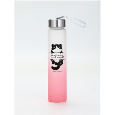 Бутылка для воды пластиковая «Котя», 300 мл