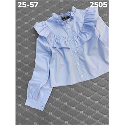 Блузка B2505 голубой