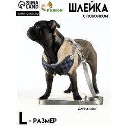 Комплект амуниции с мягкой шлейкой, L, поводок 120×1.5 см, ОШ 30-50 см, ОГ 36-56 см, серый