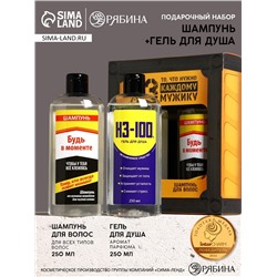 Подарочный набор «То, что нужно мужику»: гель для душа и шампунь для волос, 2×250 мл