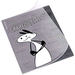 Тетрадь 48л с пластиковой обложкой "Чубрик" по обществознанию 59477 ErichKrause