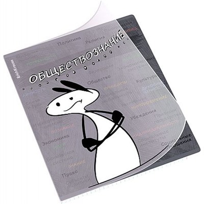 Тетрадь 48л с пластиковой обложкой "Чубрик" по обществознанию 59477 ErichKrause