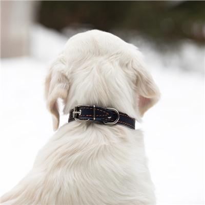 Ошейник кожаный однослойный безразмерный, 45×2 см, ОШ 18-39 см, синий