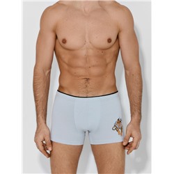 ТРУСЫ МУЖСКИЕ (2ШТ) 411134-2