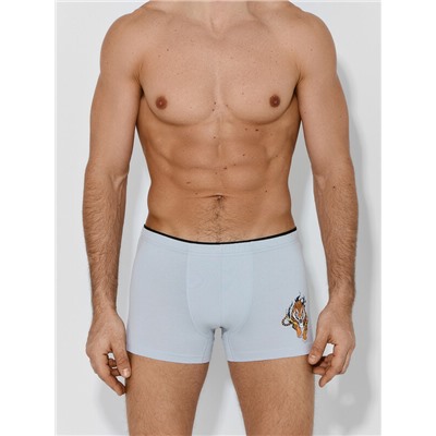 ТРУСЫ МУЖСКИЕ (2ШТ) 411134-2