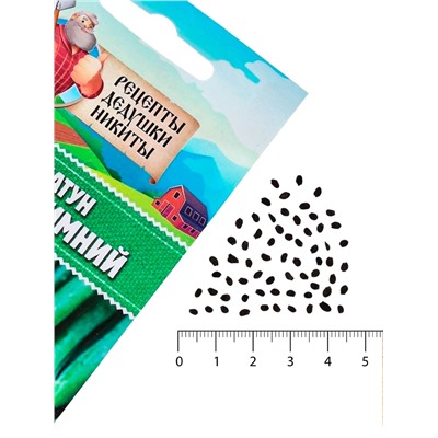 Семена Лук-батун «Русский зимний», 0.5 г, многолетник, «Рецепты дедушки Никиты»