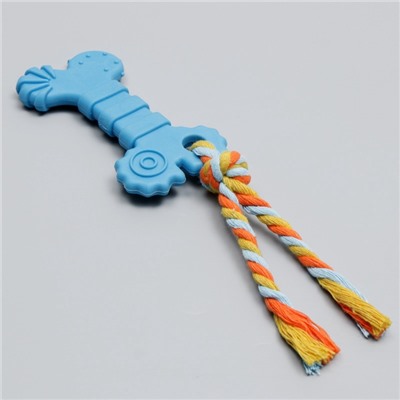 Игрушка жевательная с канатом «Кость с хвостом», синяя