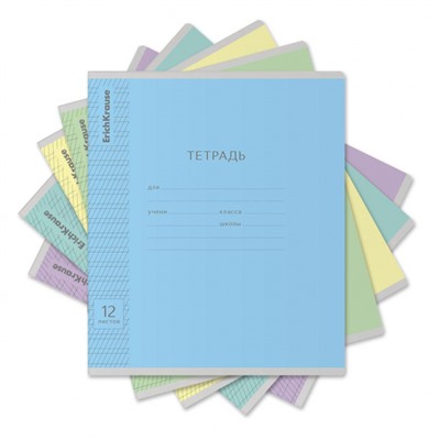 Тетрадь  12л  1 класс в две линии с частыми наклонными "Классика Visio" ассорти 43334 ErichKrause