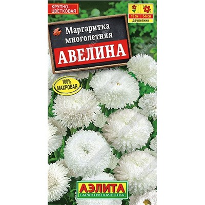 Маргаритка Авелина крупноцветковая (Аэлита)