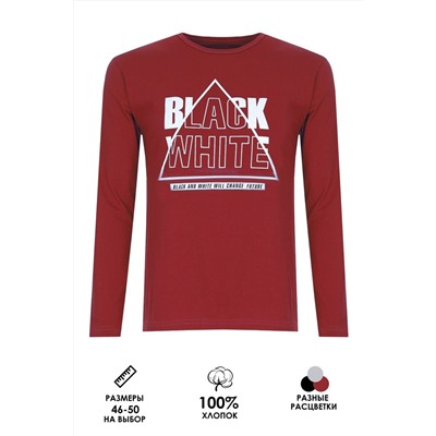 Футболка с длинным рукавом Black White ФН170