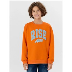 MARK FORMELLE Свитшот 123447