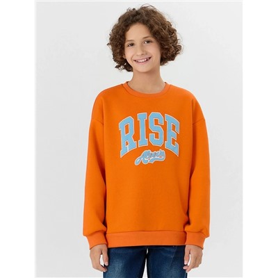 MARK FORMELLE Свитшот 123447